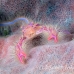 lobster_squat_bhr_tam_h_0431_bal6295.jpg